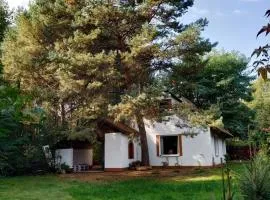 Dom letniskowy w Borach Tucholskich