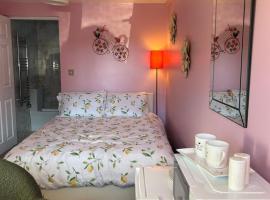 The Lylac Room，位于伊夫舍姆的酒店