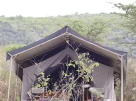 Elephant trails camp