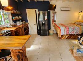 Castaway The Blue Bahia Resort In Sandy Bay