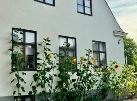 STF Landskrona Hostel