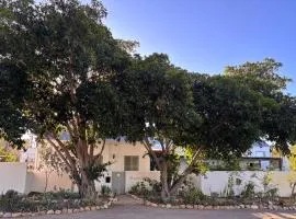 Skuurtjie