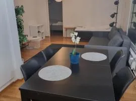 Kotimaailma Saunallinen kaksio keskustan tuntumassa