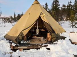 Tipi Mountain Camp，位于Sorsele的酒店