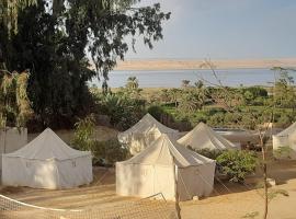 Tunis Camp Fayoum，位于法尤姆的酒店
