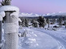 Gorgeous Home In Kvam With Sauna