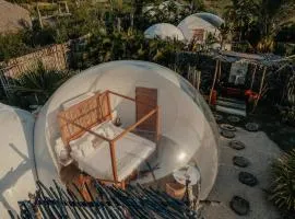 Green Land Bubble Glamping