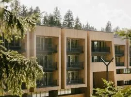 Kokhta-Mitarbi Apartment