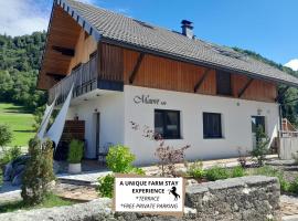 Turistična kmetija Marovt，位于布莱德的酒店