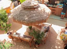 Surf lodge