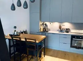 Cozy Peetri apartment with terrace