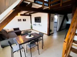 Le Nid, Duplex centre ville