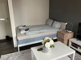 Kaarlelankatu Studio