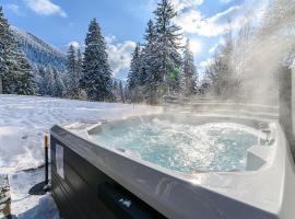 Hotel Casa Viorel jacuzzi & saunas，位于波亚纳布拉索夫的酒店