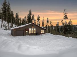 Philipsburg Family & Couples Cabin Ski Hike Relax，位于Philipsburg的酒店