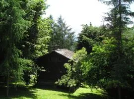 Mazot de l' Arche de Noé