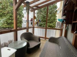 3 room apartment with castle view，位于特伦钦的酒店