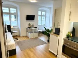 bella casa - Business&Family, 100m zum Konzerteingang Schloß, Parkplatz, SmartTV, Netflix, Waschmaschine,24h Checkin, 30qm, AP 5