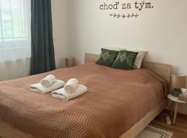 Apartmán neďaleko centra mesta，位于米哈洛夫采的酒店