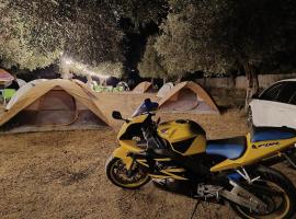 Waveside Camping，位于博尔什的酒店