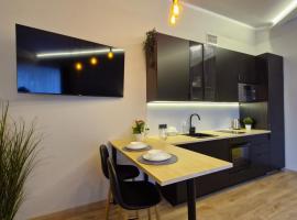 Räpina Studio Apartment，位于赖皮纳的酒店