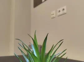 Apartment for 2 guests