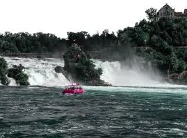 Rheinfall Living