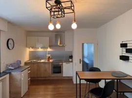 Schönes Appartment im Saarner Auenland