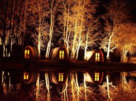 Podhouse 1 wooden igloo，位于茨韦西门的酒店
