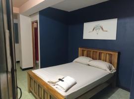 Panamá Hostels Inn，位于戴维的酒店
