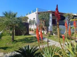 Garden & Sea