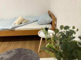 Apartment Ramdedovic1，位于萨拉热窝的酒店