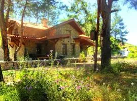 Cottage Aegean Holiday Villa