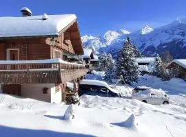 Savoyard cottage with terrace on the snow front