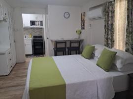 Michand Guest Apartments- Cozy one or two bedroom- 5 walk minutes from airport 10 mins drive to Oistins or beach
