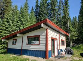 Pine Marten Wilderness Cabin，位于戈尔登的酒店
