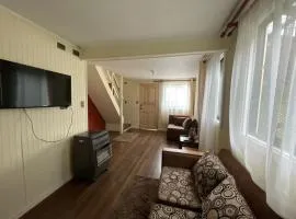 Arriendo de Casa o Departamento en Castro por Dia