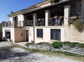 VILLETTA TRA GLI ULIVi 2