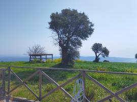 Villetta a schiera trilocale cod 397 - Taunus Vacanze，位于努马纳的酒店