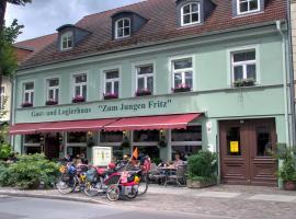 Zum Jungen Fritz Gast- Logierhaus，位于赖因斯贝格的酒店