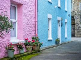 Calebs Cottage- Solva harbour，位于索尔瓦的酒店