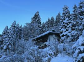 Chalet Dagmar，位于克洛斯特斯的酒店