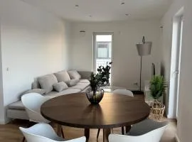 New & elegant penthouse apartment