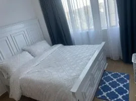 Pendo Homes 2Rivers Mall