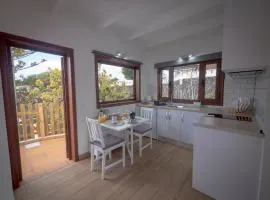 Casa volcánica El Cabezo