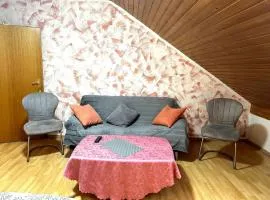 Apartment Doppelzimmer,City, Messe & Natur, gut VRR im Düssedlorf