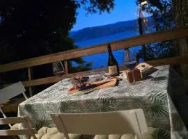 Cabaña con vista al Lago