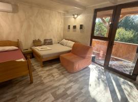 Apartmani Mila , Nova drvena kucica，位于维尔蒂尼克的酒店