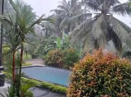 Ubud nadi villa