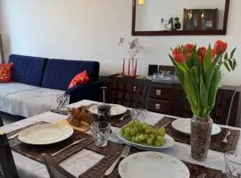 Apartament -Jak w domu- Czeladź 60m2 Centrum Katowic 10km